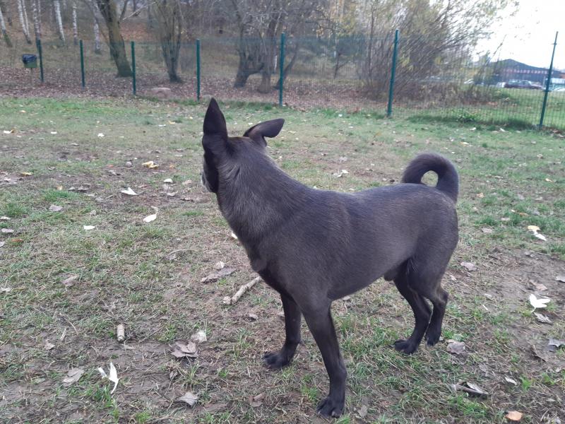 Alma uploaded   203  day/s  ago