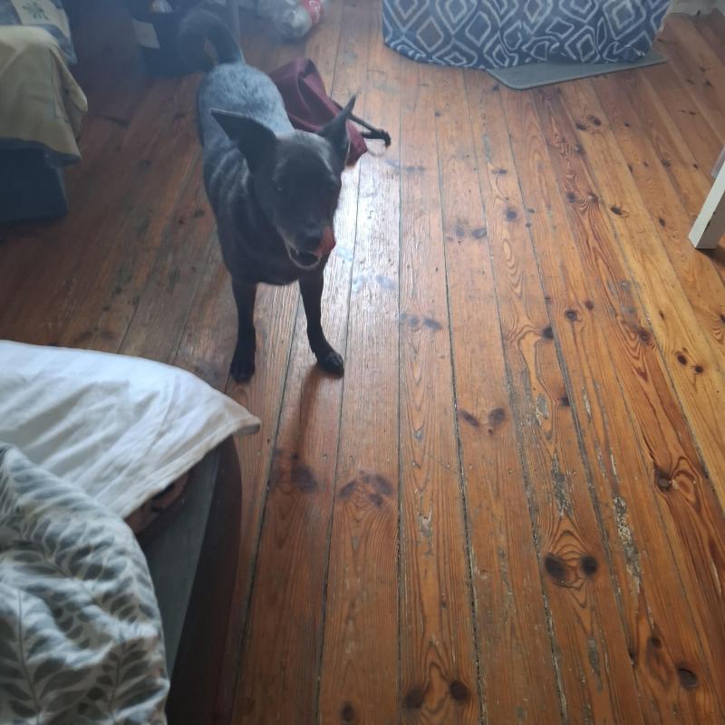 Alma uploaded   154  day/s  ago