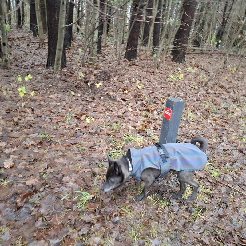 Alma uploaded   128  day/s  ago