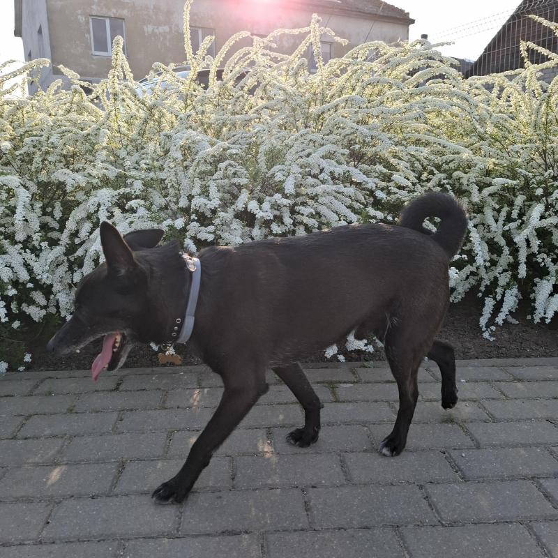 Alma uploaded   271  day/s  ago