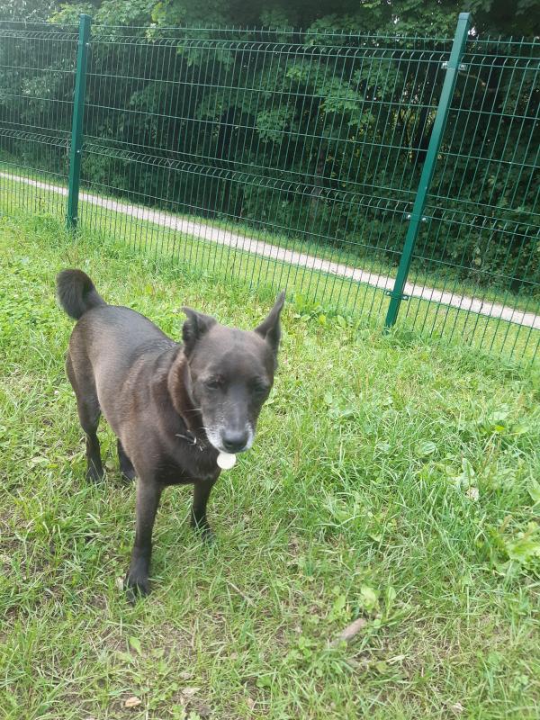 Alma uploaded   256  day/s  ago