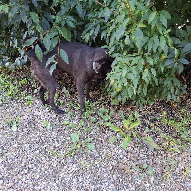 Alma uploaded   226  day/s  ago