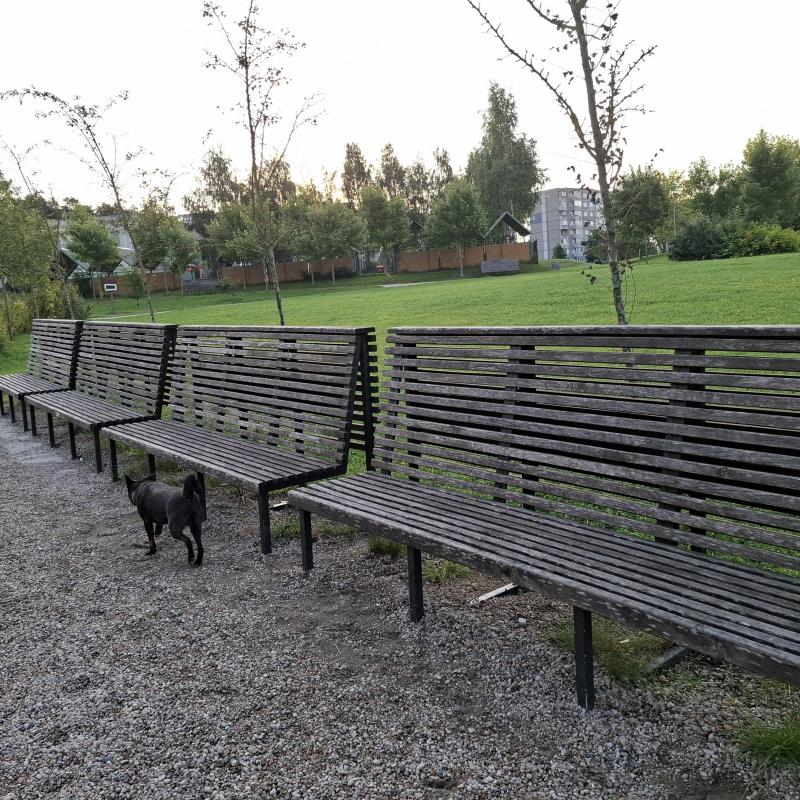 Alma uploaded   209  day/s  ago