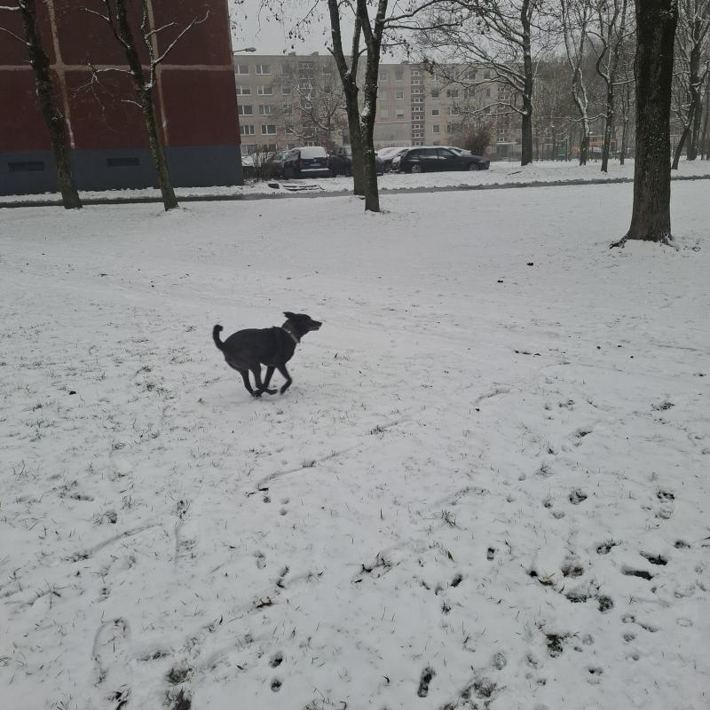 Alma uploaded   71  day/s  ago