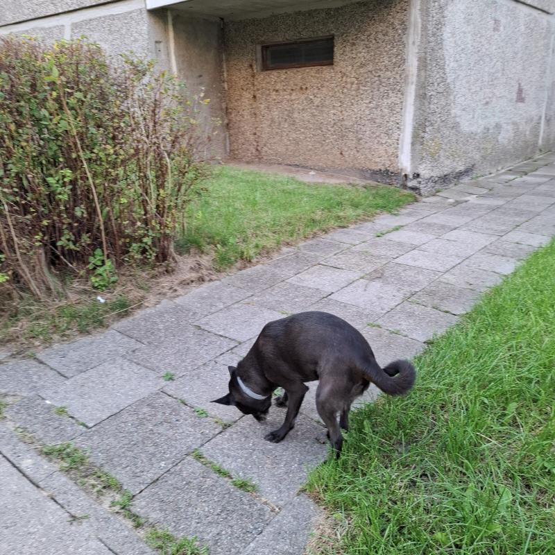 Alma uploaded   174  day/s  ago