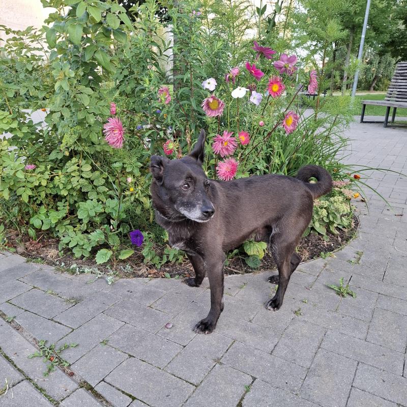 Alma uploaded   174  day/s  ago