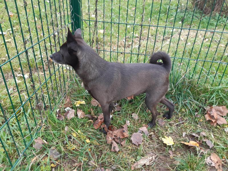 Alma uploaded   203  day/s  ago