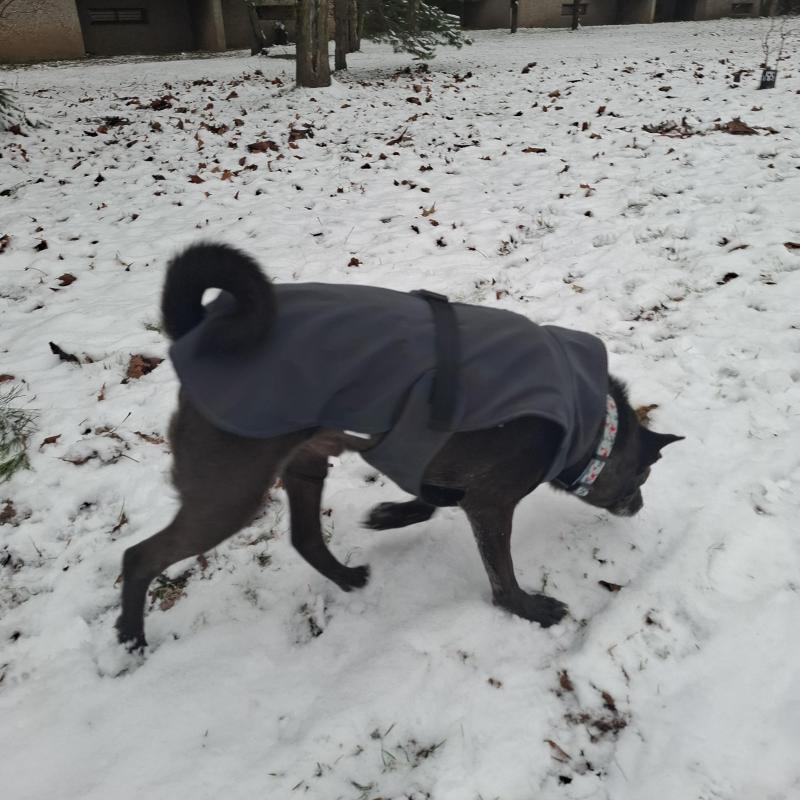 Alma uploaded   128  day/s  ago