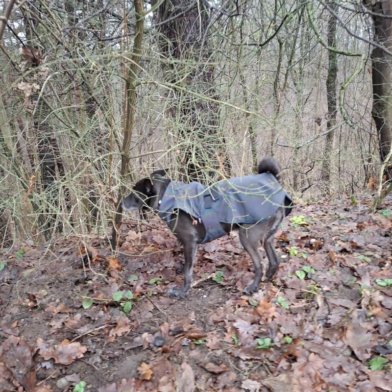 Alma uploaded   128  day/s  ago