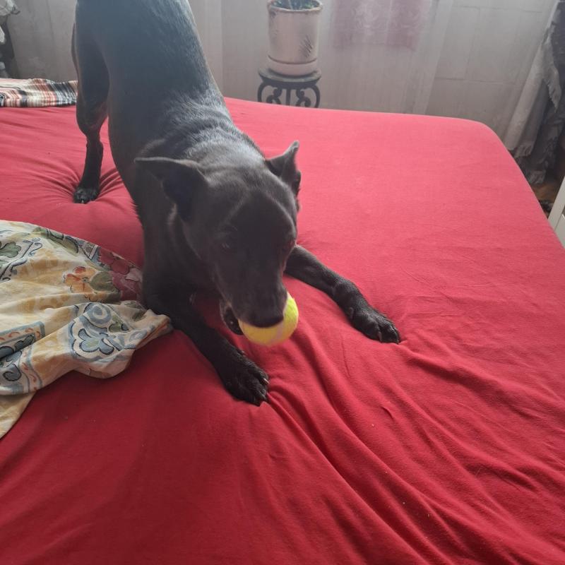 Alma uploaded   332  day/s  ago