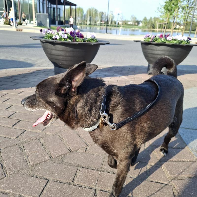 Alma uploaded   271  day/s  ago