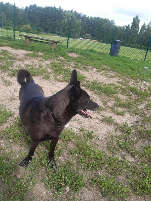 Alma uploaded   256  day/s  ago