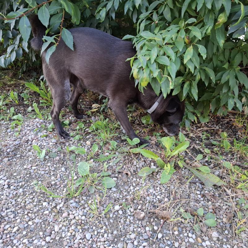 Alma uploaded   226  day/s  ago