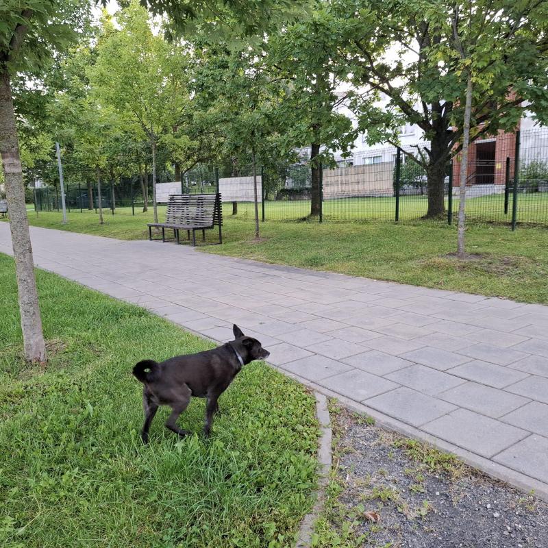 Alma uploaded   209  day/s  ago