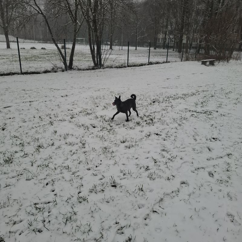 Alma uploaded   71  day/s  ago