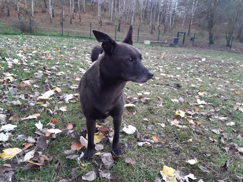 Alma uploaded   203  day/s  ago