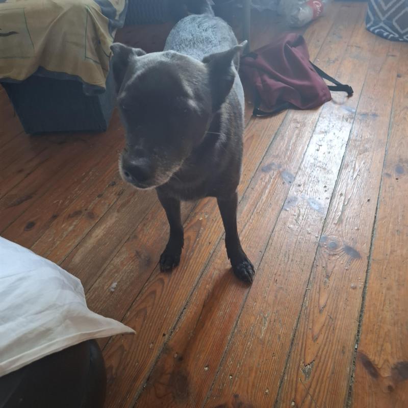 Alma uploaded   154  day/s  ago