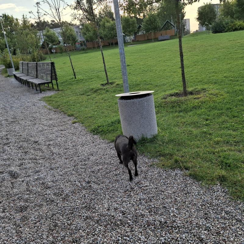 Alma uploaded   226  day/s  ago