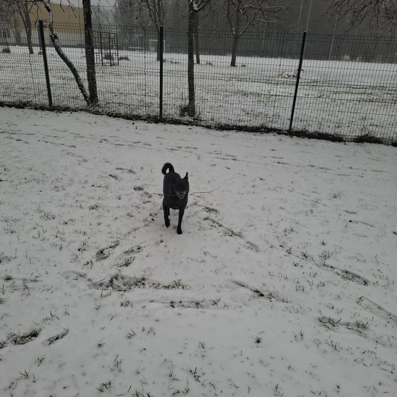 Alma uploaded   71  day/s  ago