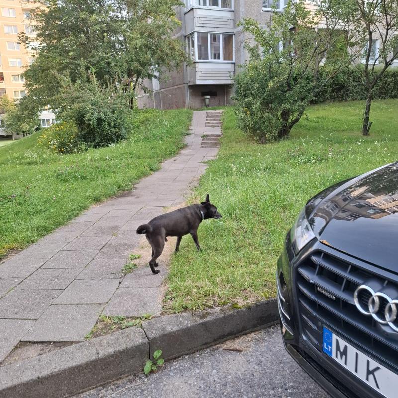 Alma uploaded   174  day/s  ago