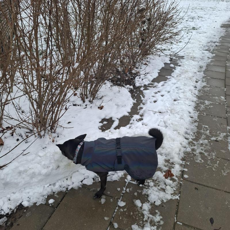 Alma uploaded   128  day/s  ago