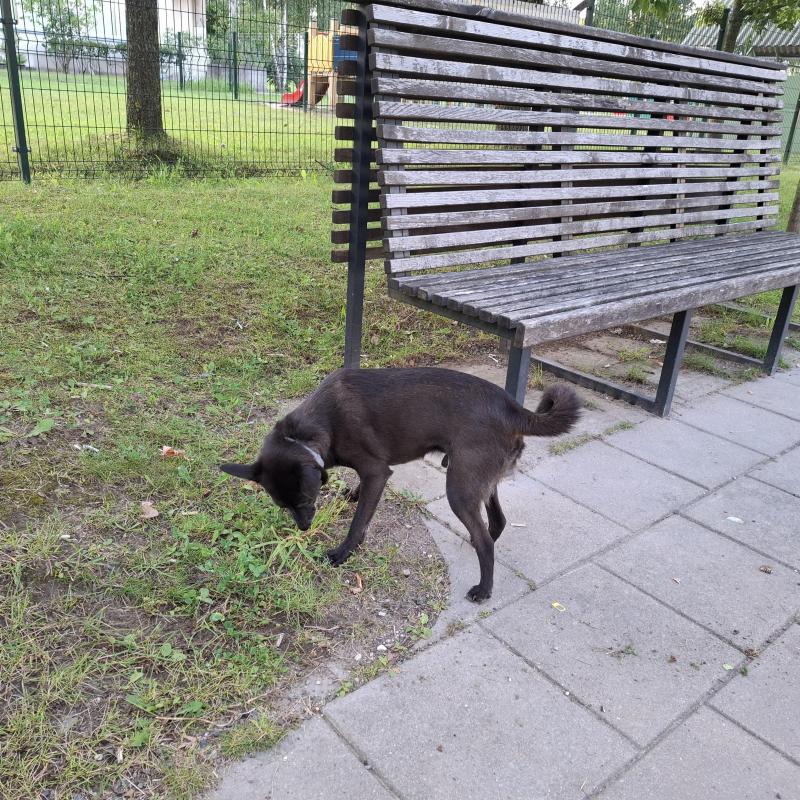 Alma uploaded   209  day/s  ago