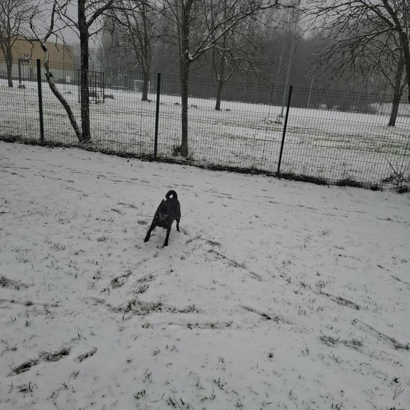 Alma uploaded   71  day/s  ago