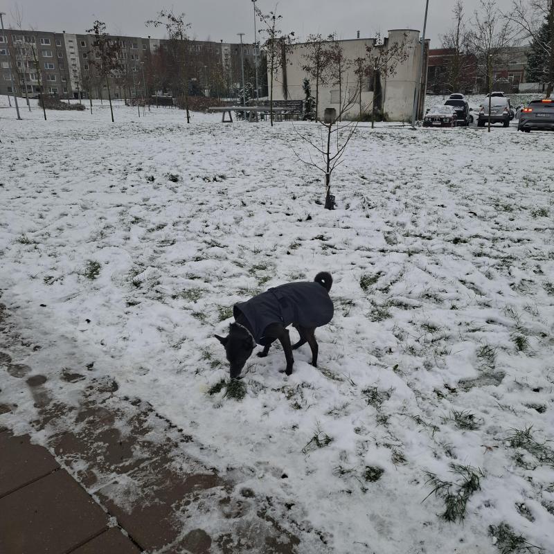 Alma uploaded   128  day/s  ago