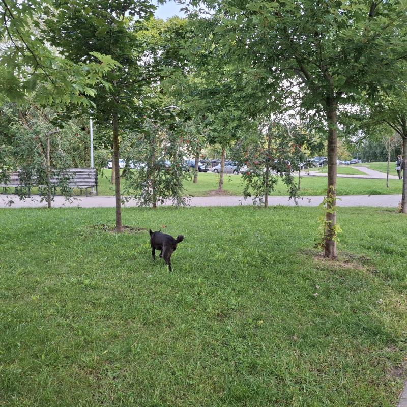 Alma uploaded   209  day/s  ago