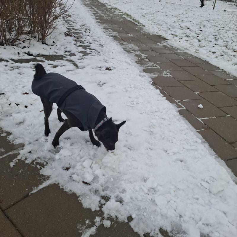 Alma uploaded   128  day/s  ago