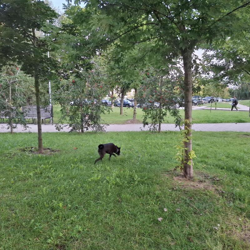 Alma uploaded   209  day/s  ago