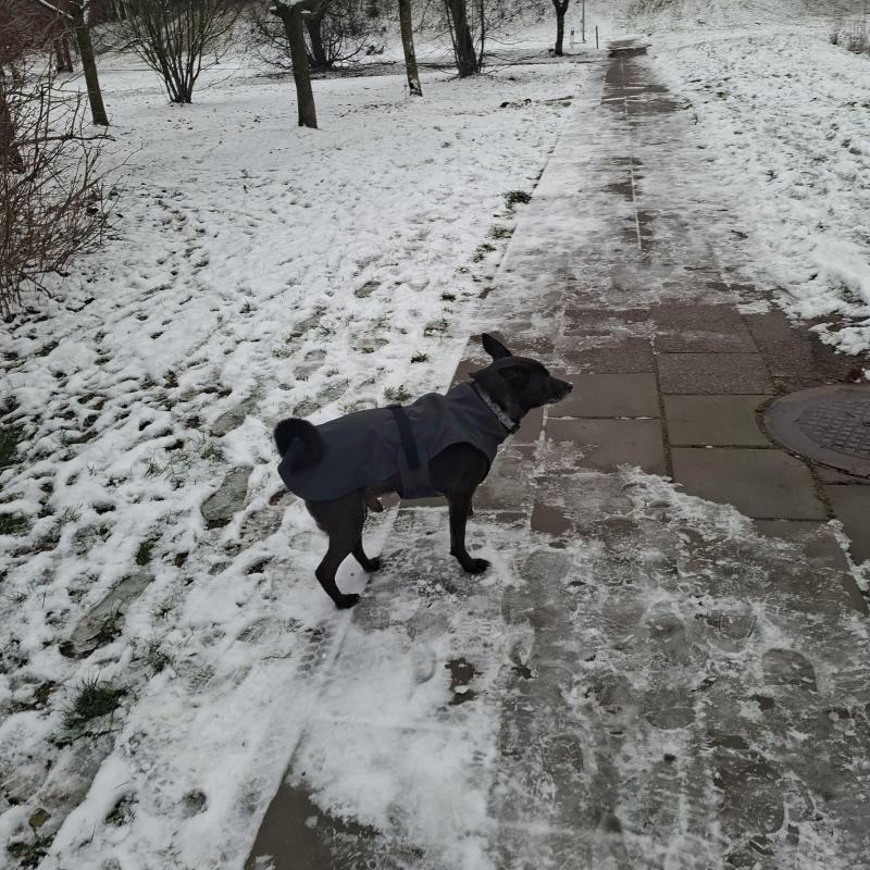 Alma uploaded   128  day/s  ago