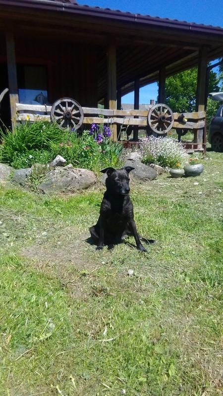 Alma uploaded   86  day/s  ago