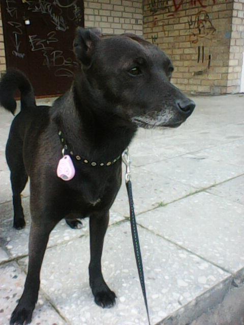 Alma uploaded   86  day/s  ago