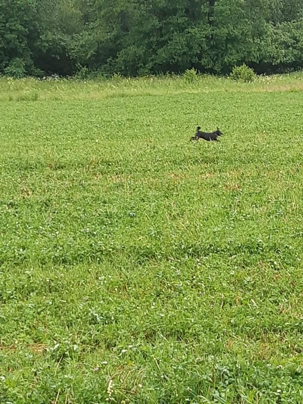 Alma uploaded   86  day/s  ago