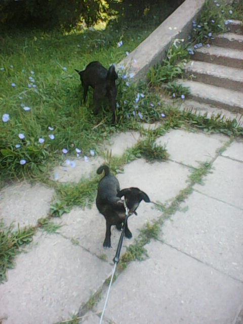 Alma uploaded   86  day/s  ago