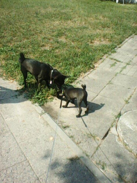 Alma uploaded   86  day/s  ago