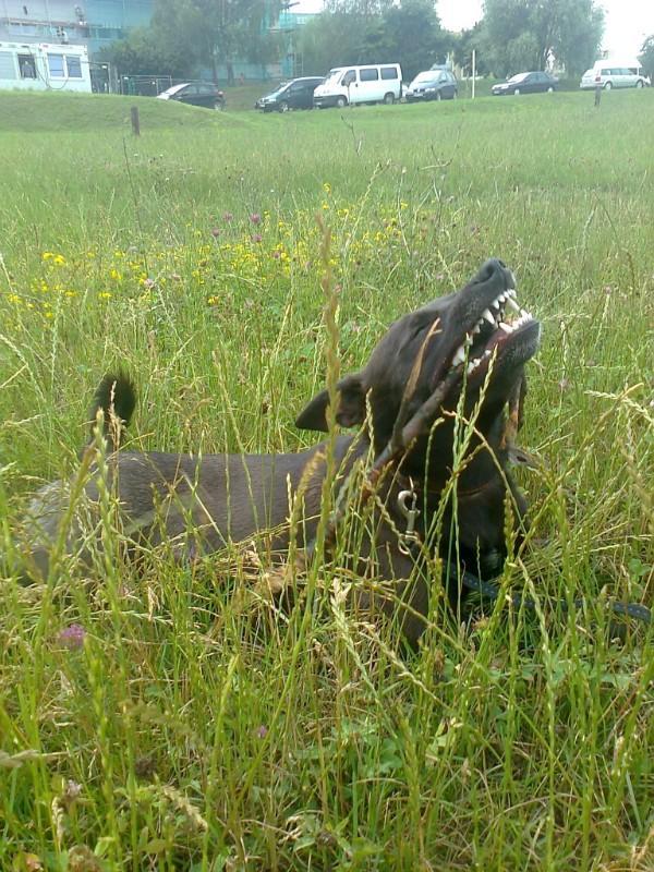 Alma uploaded   86  day/s  ago