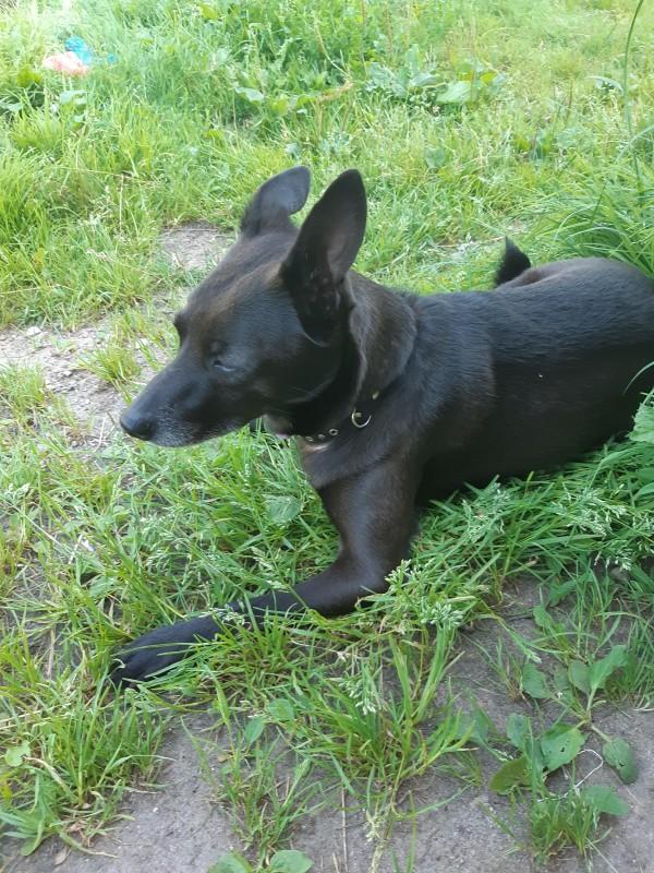 Alma uploaded   86  day/s  ago