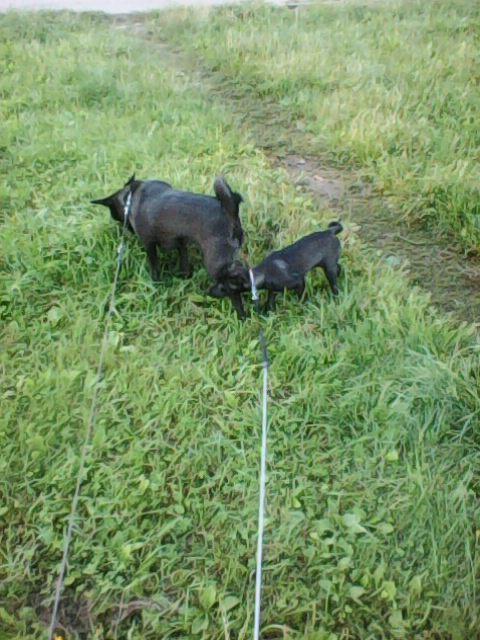 Alma uploaded   86  day/s  ago