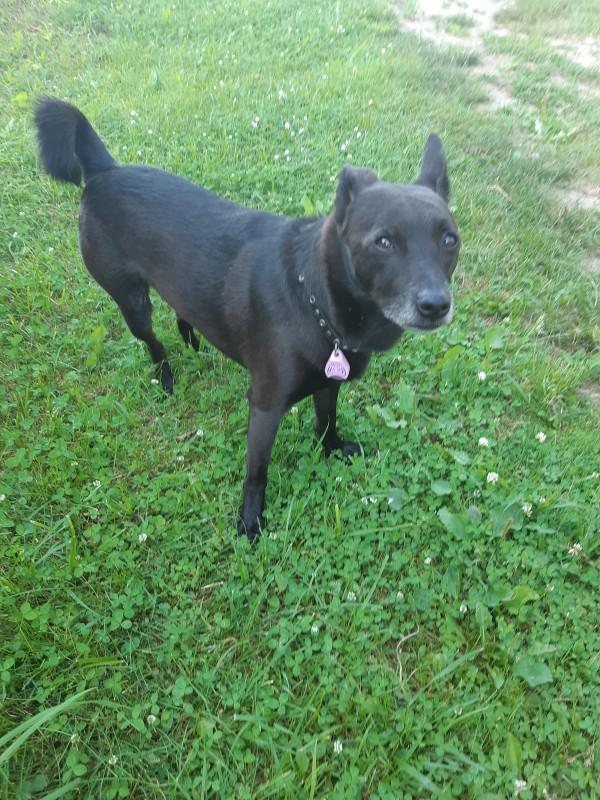 Alma uploaded   86  day/s  ago