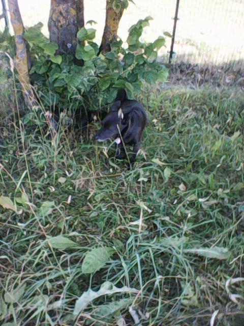 Alma uploaded   86  day/s  ago