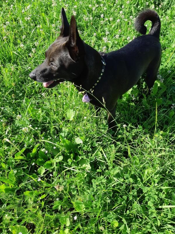 Alma uploaded   86  day/s  ago