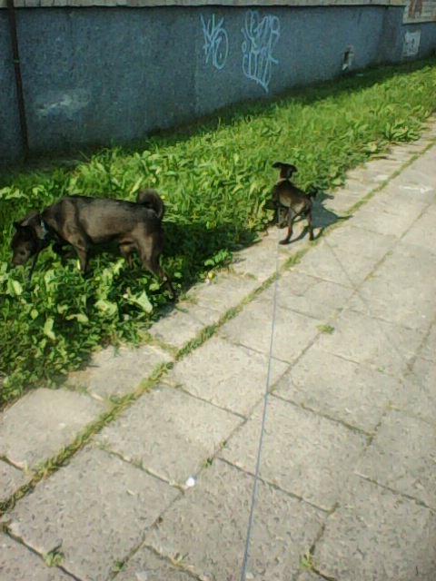 Alma uploaded   86  day/s  ago