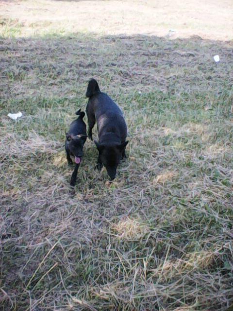 Alma uploaded   86  day/s  ago