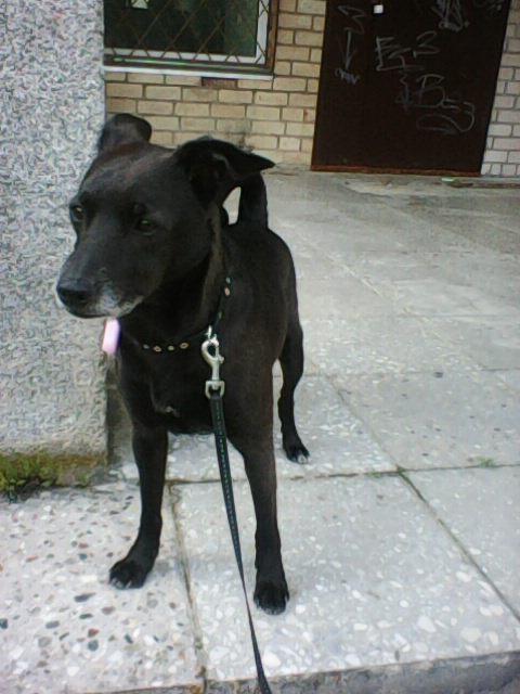 Alma uploaded   86  day/s  ago