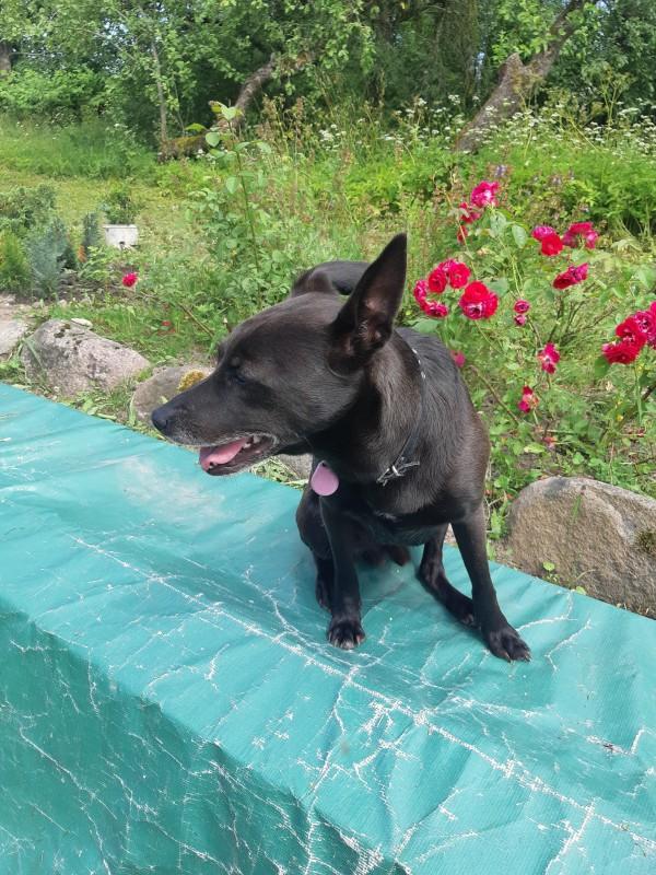 Alma uploaded   86  day/s  ago