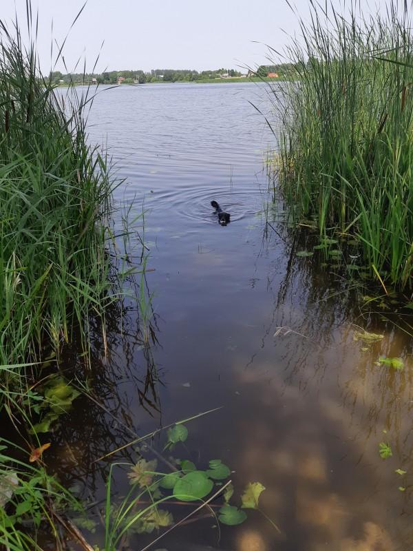 Alma uploaded   86  day/s  ago