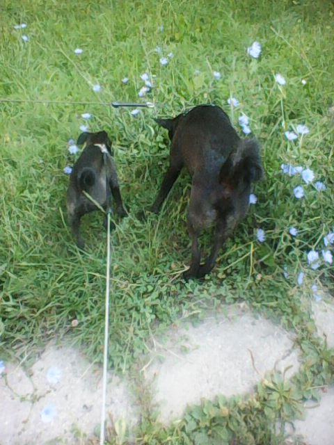 Alma uploaded   86  day/s  ago