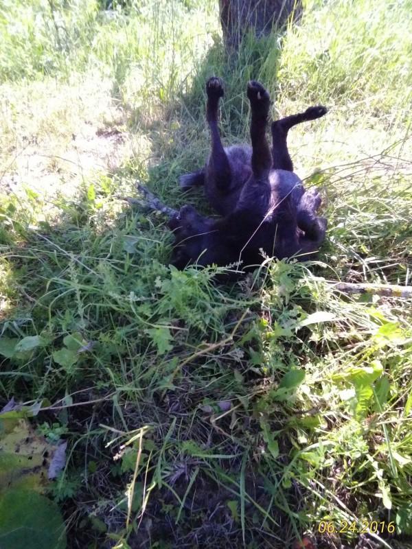 Alma uploaded   86  day/s  ago